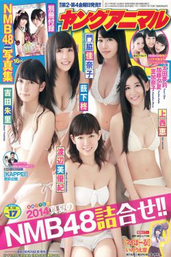 流光引 电视剧