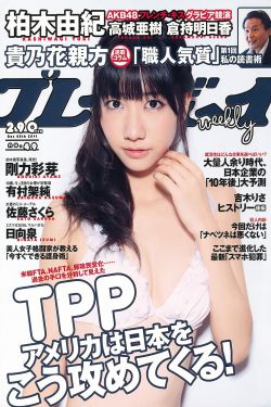一个傻子弄一个村350章