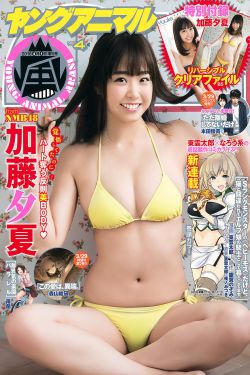 莲花宝典